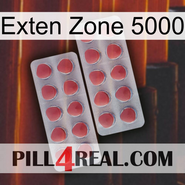 Exten Zone 5000 19.jpg